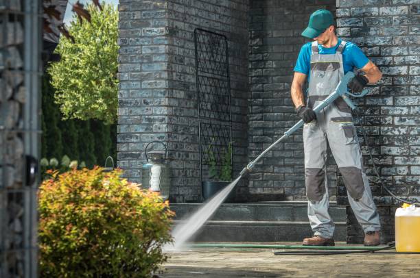 Animal Enclosure Cleaning in Meadowbrook, VA
